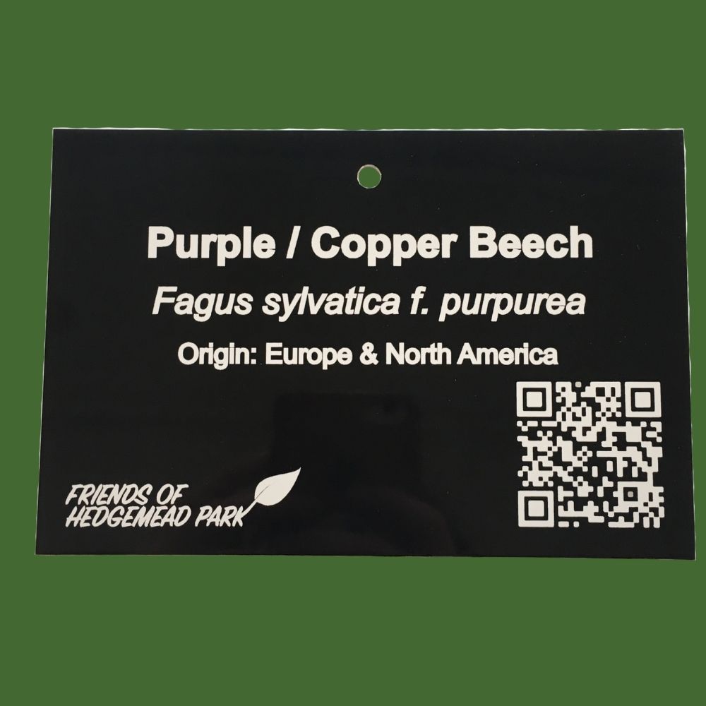 Durable black anodised aluminium tree tag engraved with a QR code for identification and outdoor use.