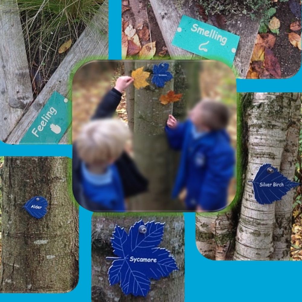 Engraved outdoor learning labels for trees and sensory beds in an infant school garden setting.